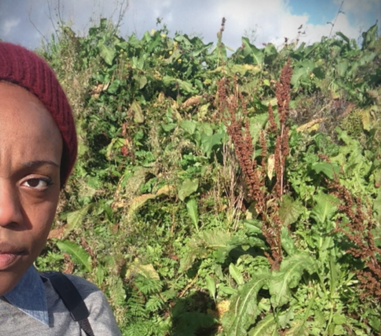 Half of a person's face in front of a background of plants.