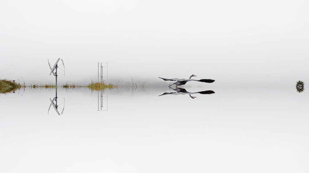 A mirrored image of various things against a white background.