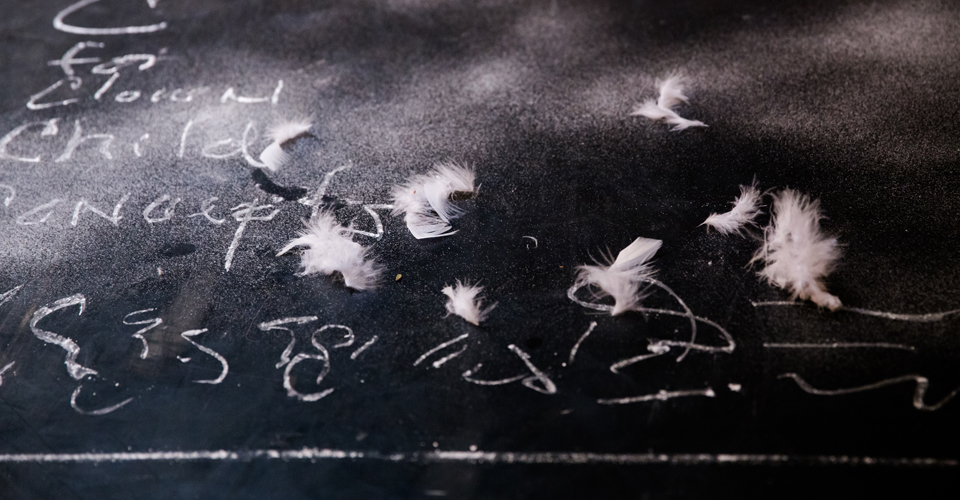 Words and feathers on a black background.