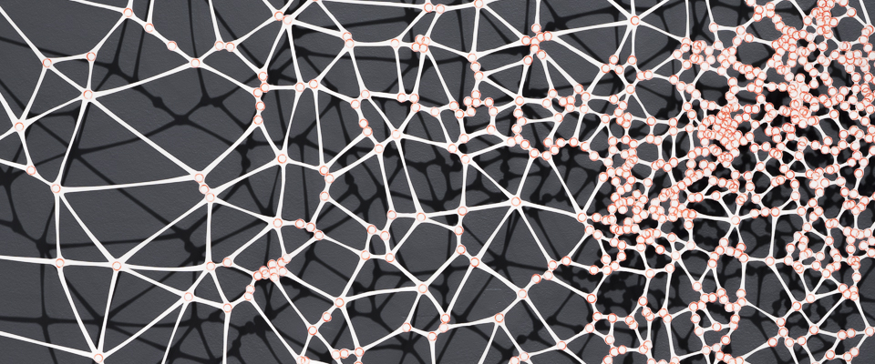 An image of a webbed structure.