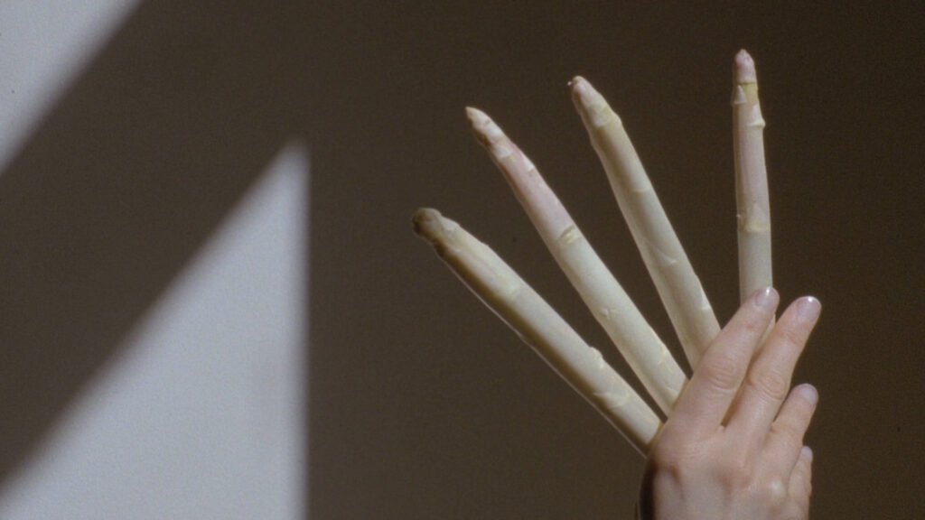 A hand holding four white asparagus.