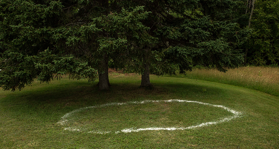 A white circle on grass under a tree.