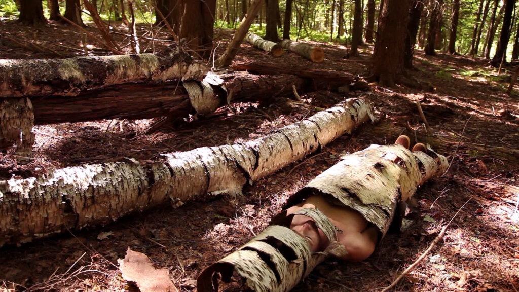 A person lying in the forest wrapped in bark.