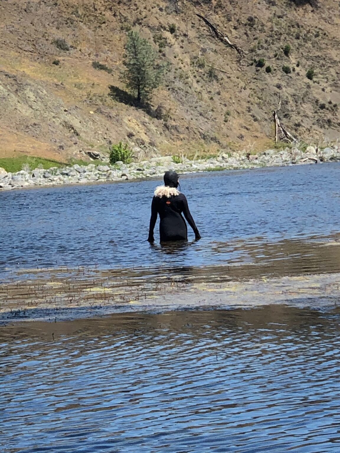 Portrait of Susan Gevirtz wading in water with her back turned and wearing a wetsuit.