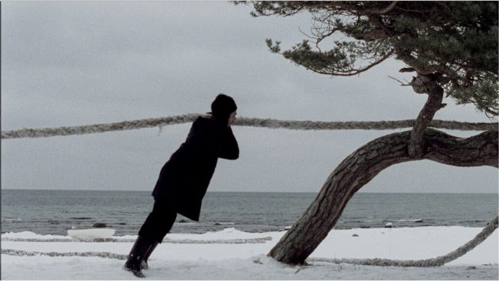 A person pulling a large rope by a tree near a body of water.