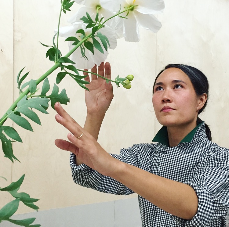 A person reaching their hands out toward a plant.