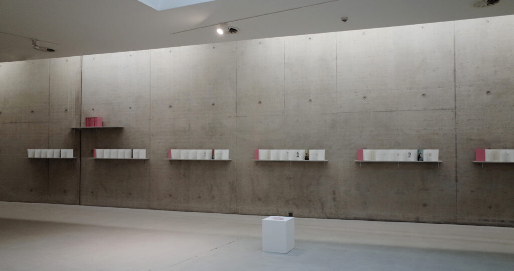 An art installation of shelves on a concrete wall.