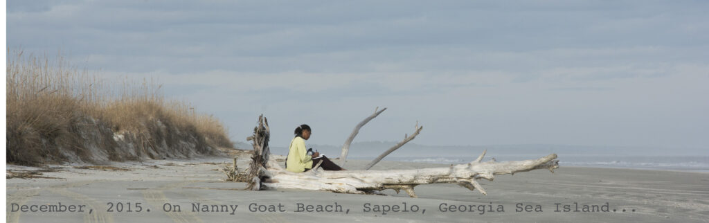 A person sitting on driftwood on the beach.