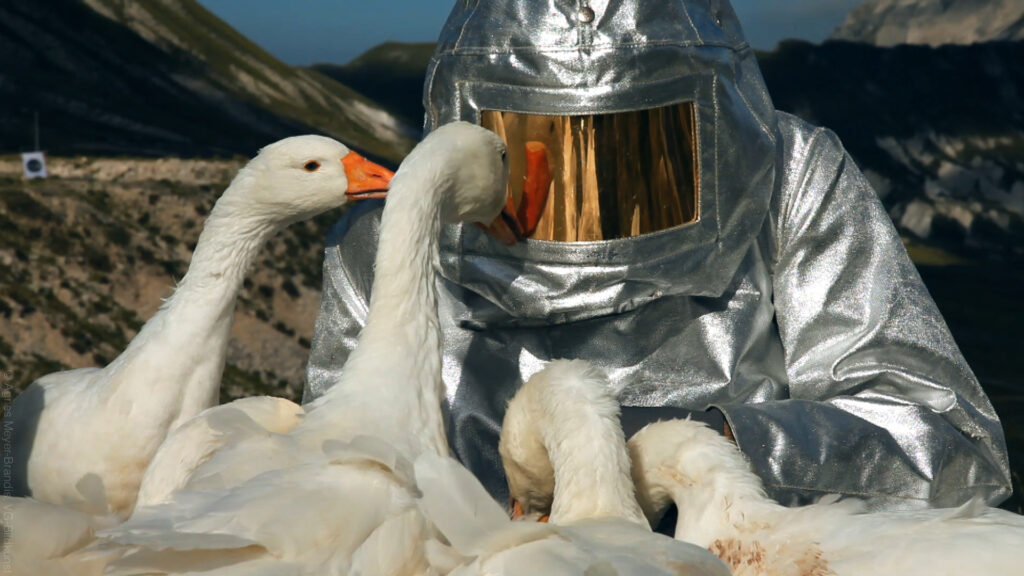 A group of geese around a person in a silver space suit.