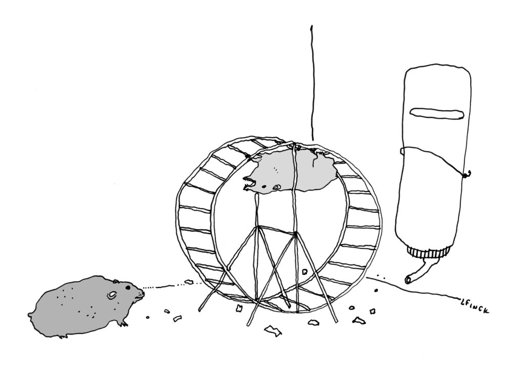 An illustration of two hamsters and a wheel.