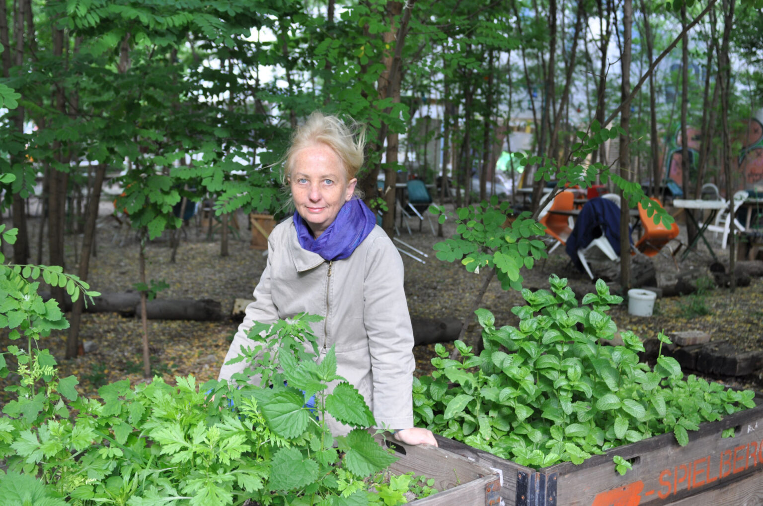 A person sitting next to planter boxes of herbs.