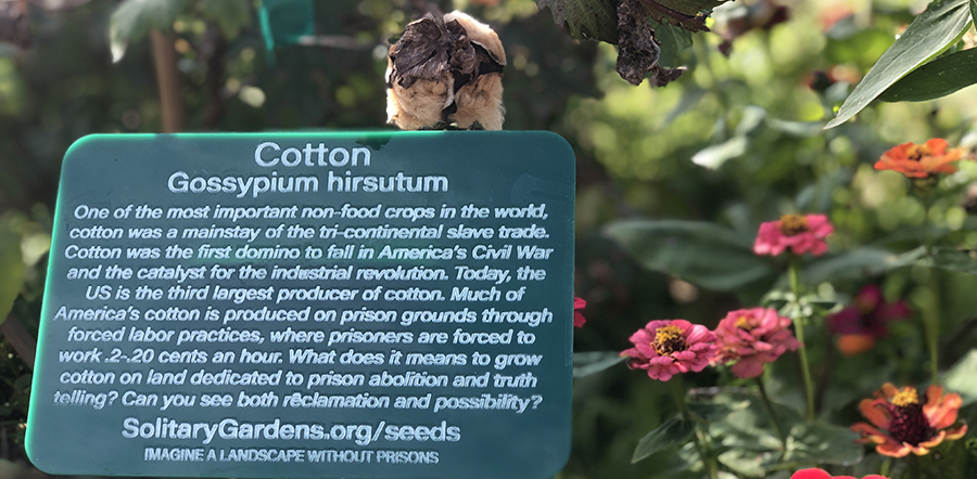 A sign in front of flowers and foliage.