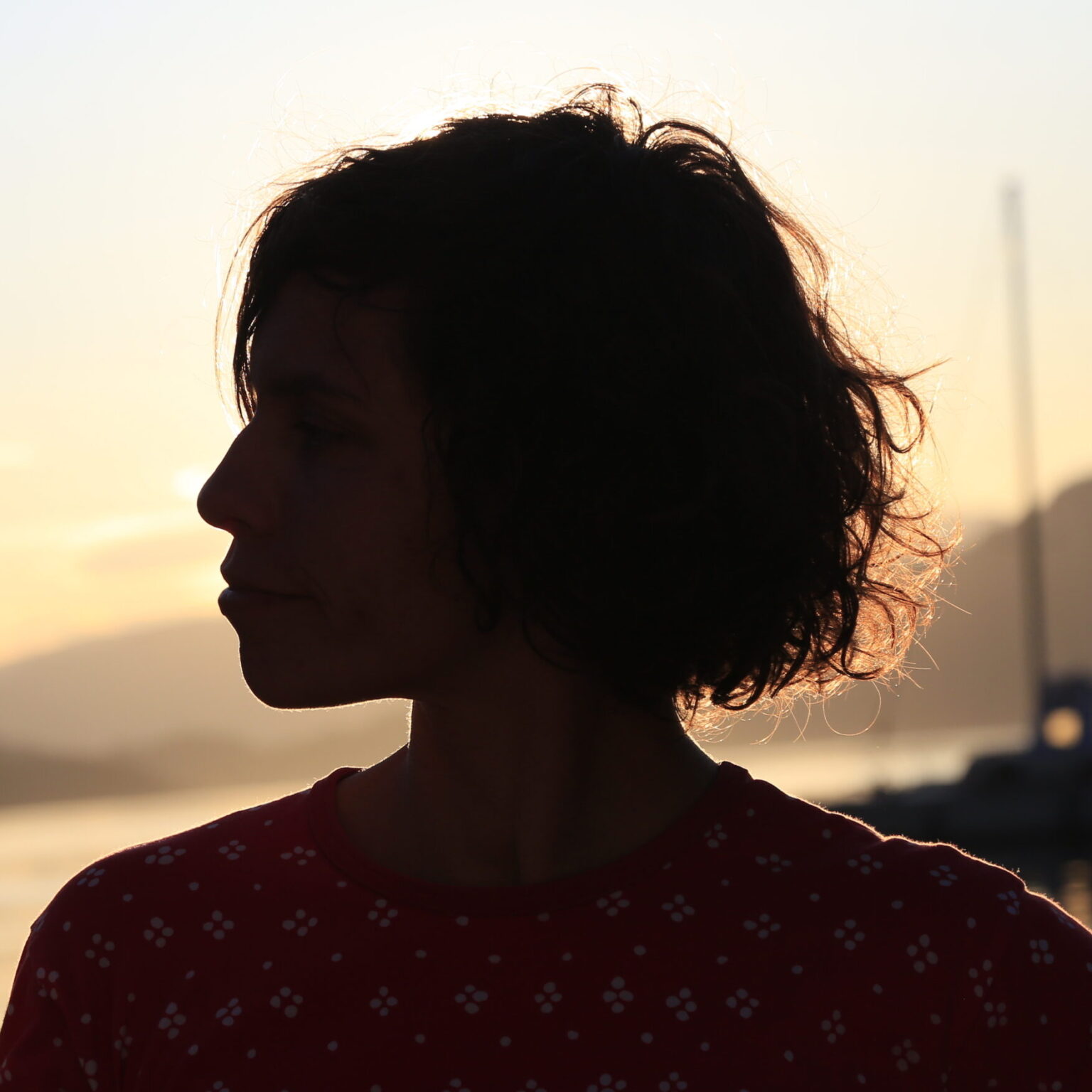 A silhouette of a person against a background of a body of water and hills.