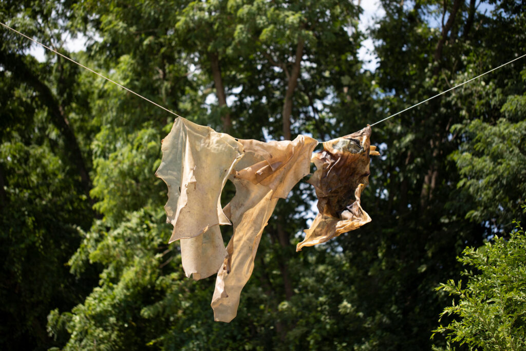 A line strung outside with three pieces of material draped over.