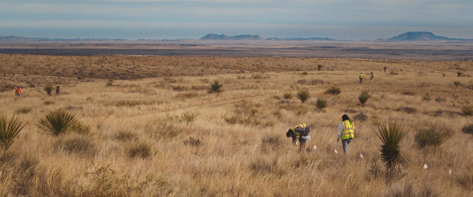 Desert scape with people in high-vis vests.