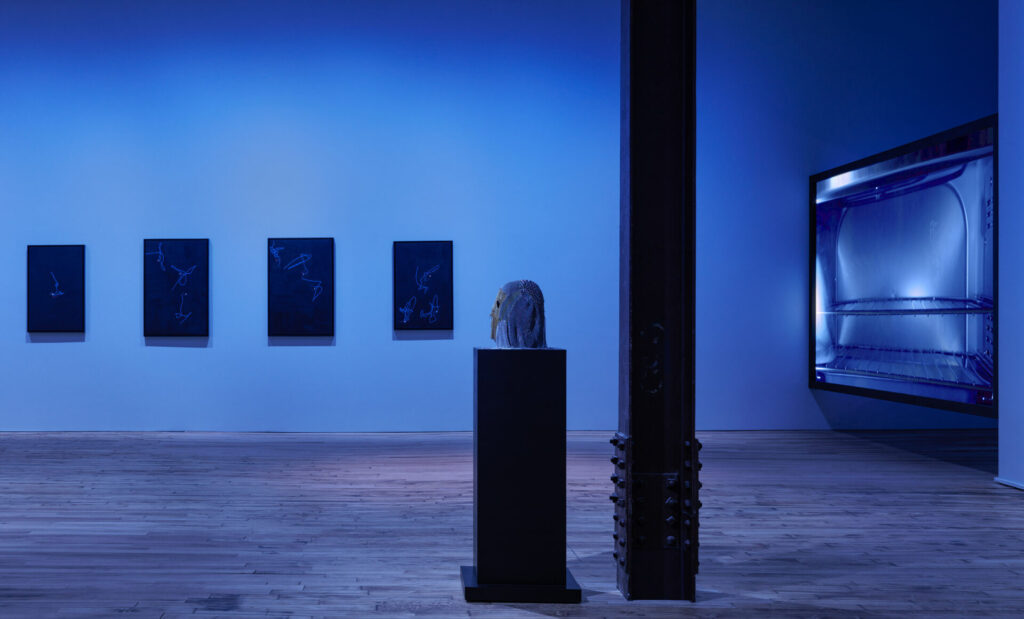 A gallery lit by blue light