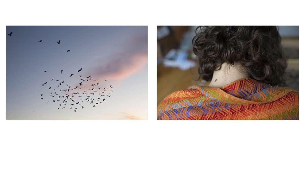 Two images side-by-side on a white background: one of birds flying in the sky and one of the back of a person's neck.