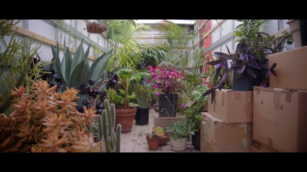 The interior of a truck filled with plants and cardboard boxes.