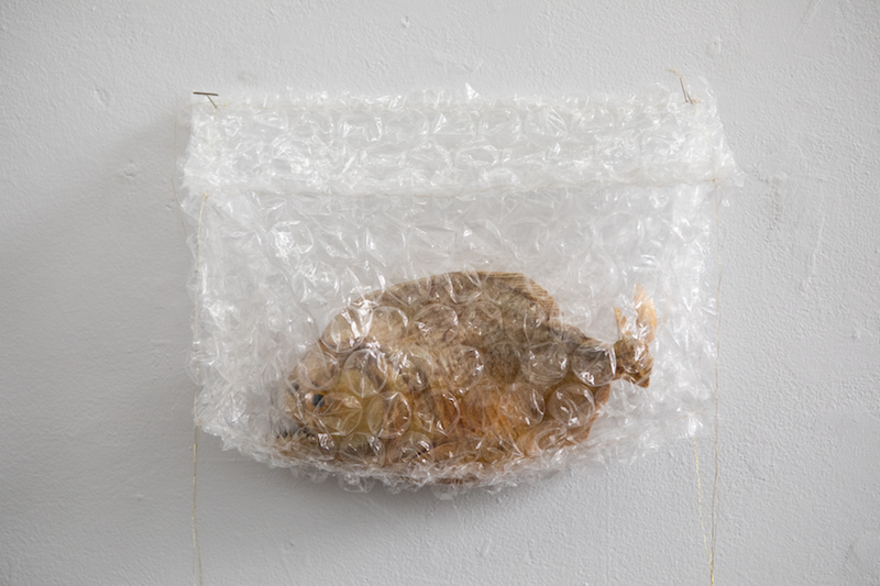 A dried preserved piranha in a bubble wrap envelope
