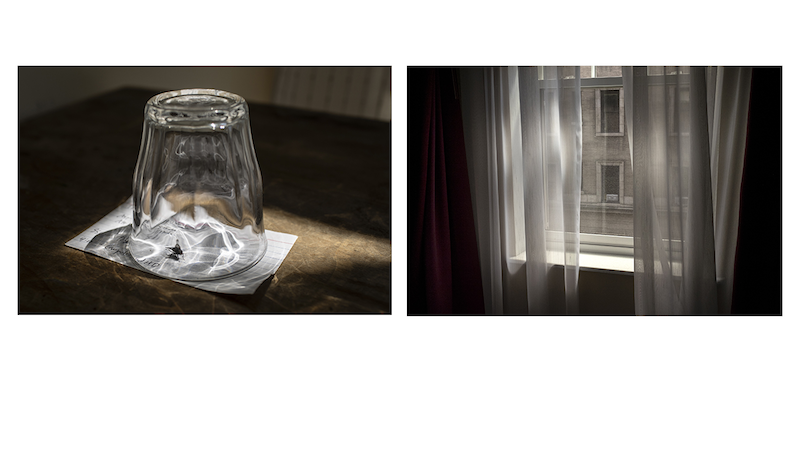 A pair of photos: a drinking glass upside down over a fly; the view from a window.