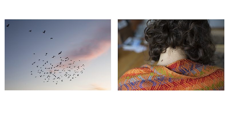 Two images: a flock of birds against the sky, and a the back of a person's neck.