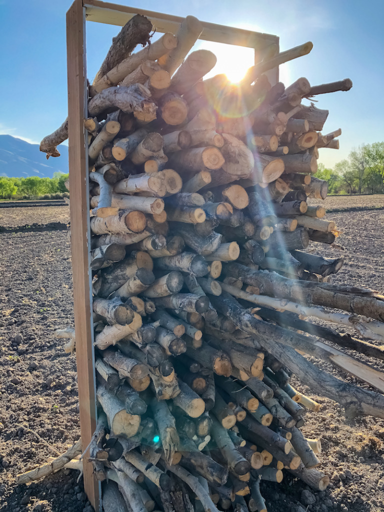 Cottonwood sticks stacked in a doorframe, freestanding in a field