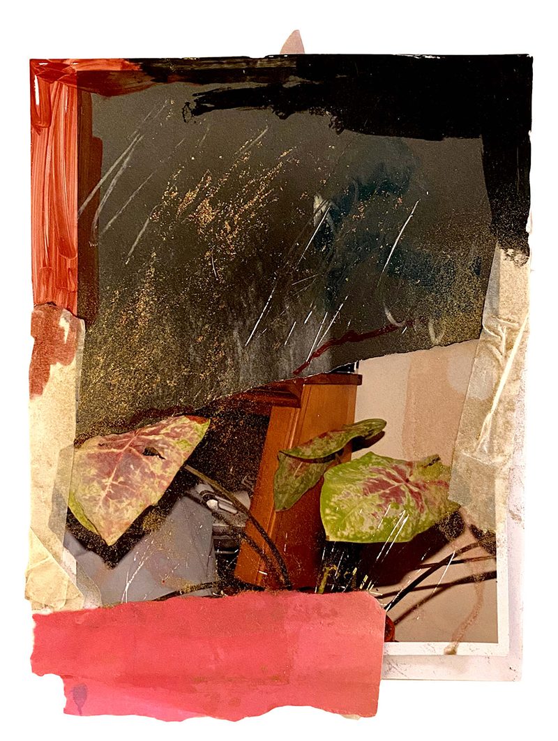 A photo of a potted plant collaged with red and black shapes and gold glitter.