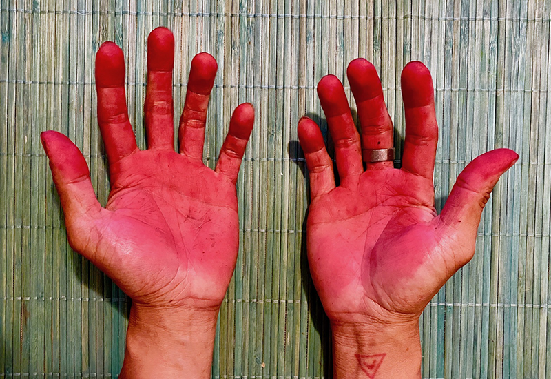 A photograph of hands held palms upward, palms stained red.