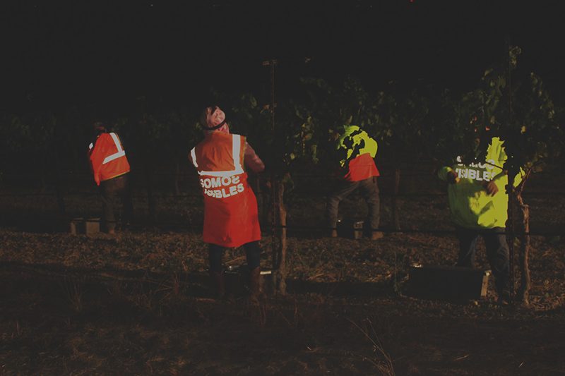 Farm workers photographed at night wearing reflective garments with text reading 