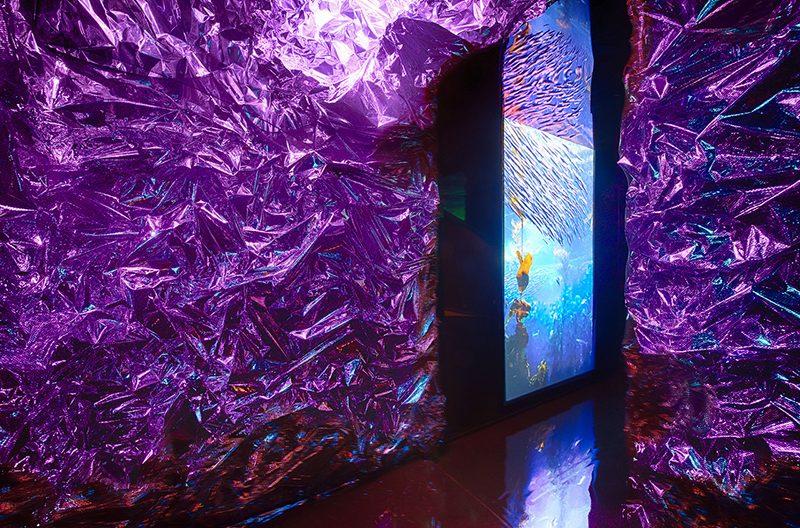 An installation featuring a space covered in glittery purple walls; through a doorway is visible a screen with blue water and fish.