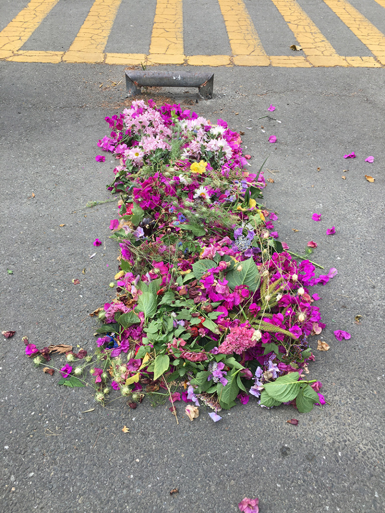 A rectangular space on an asphalt street filled with bright pink flowers and green foliage.