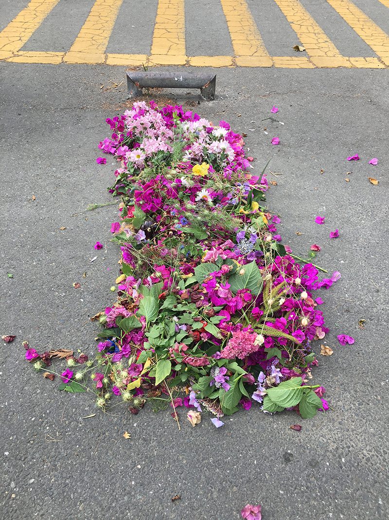 A rectangular space on an asphalt street filled with bright pink flowers and green foliage.