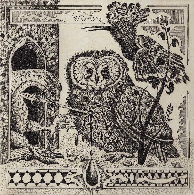 detailed etching of an owl