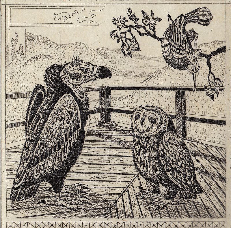 detailed etching of an owl and a buzzard