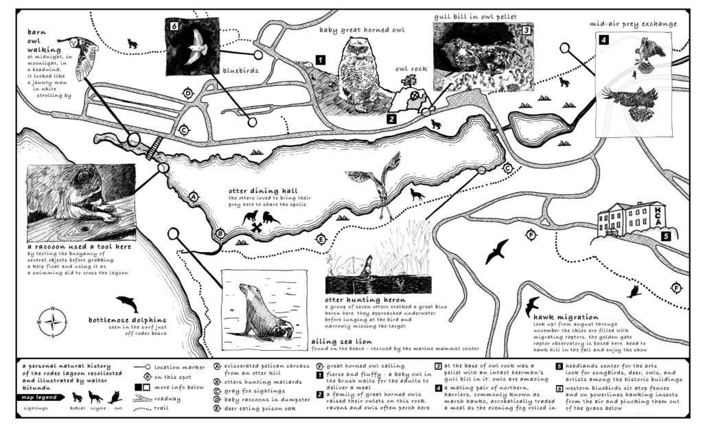 A hand drawn map of a coastline with trails and animals