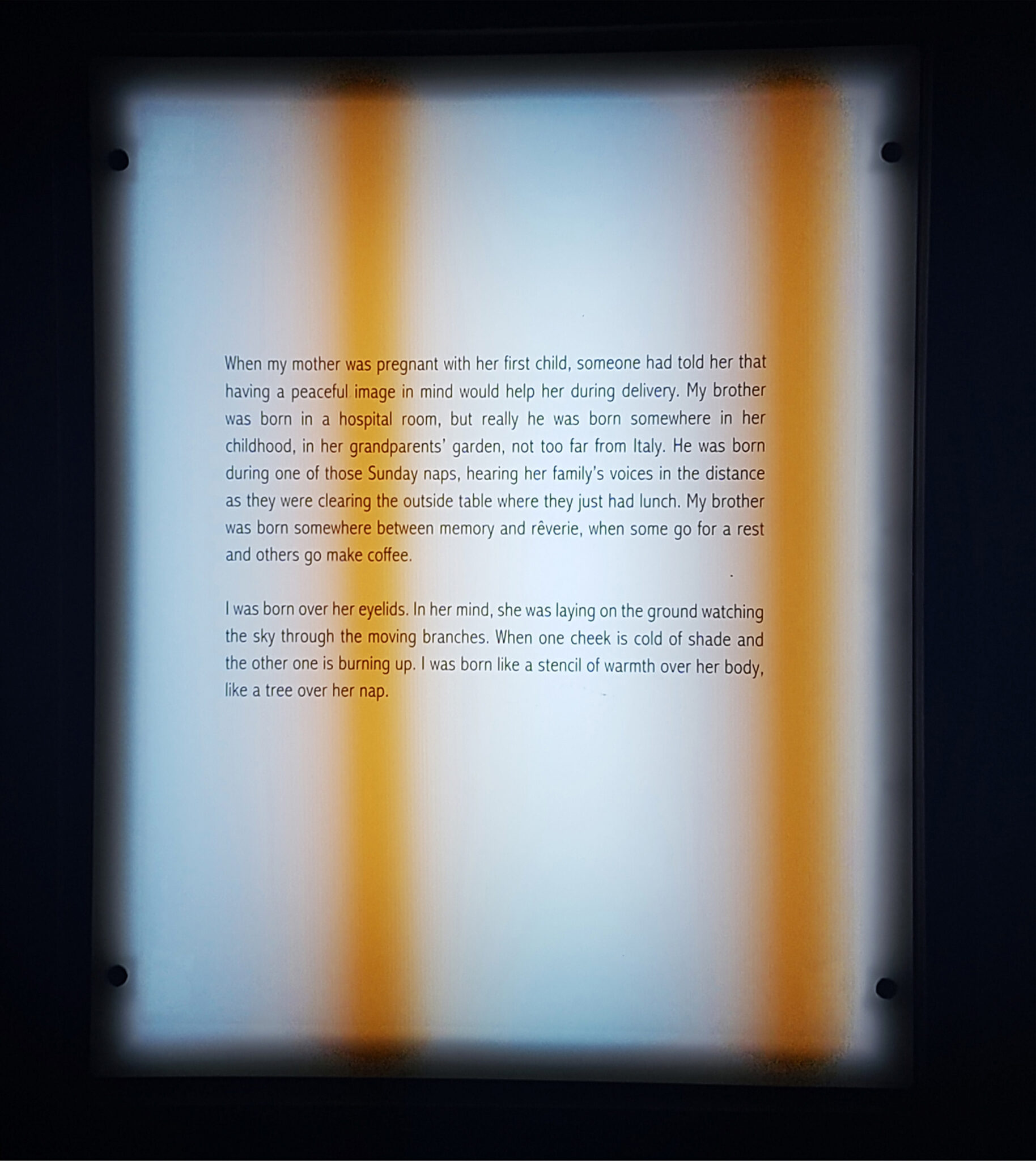 part of video installation, reads