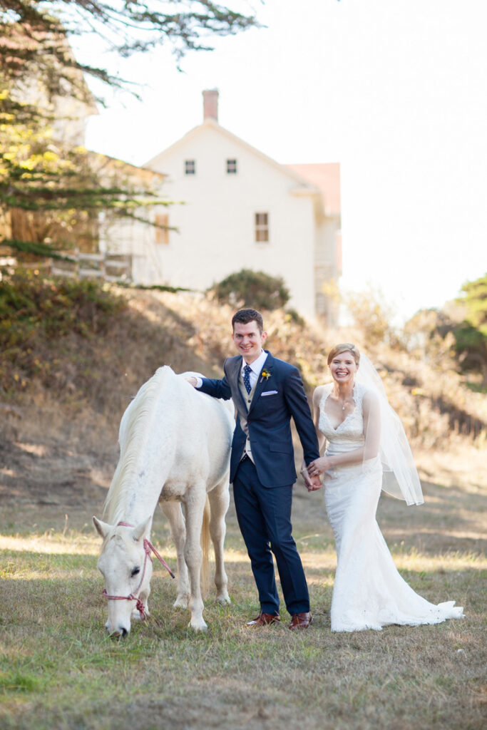 A couple and a horse