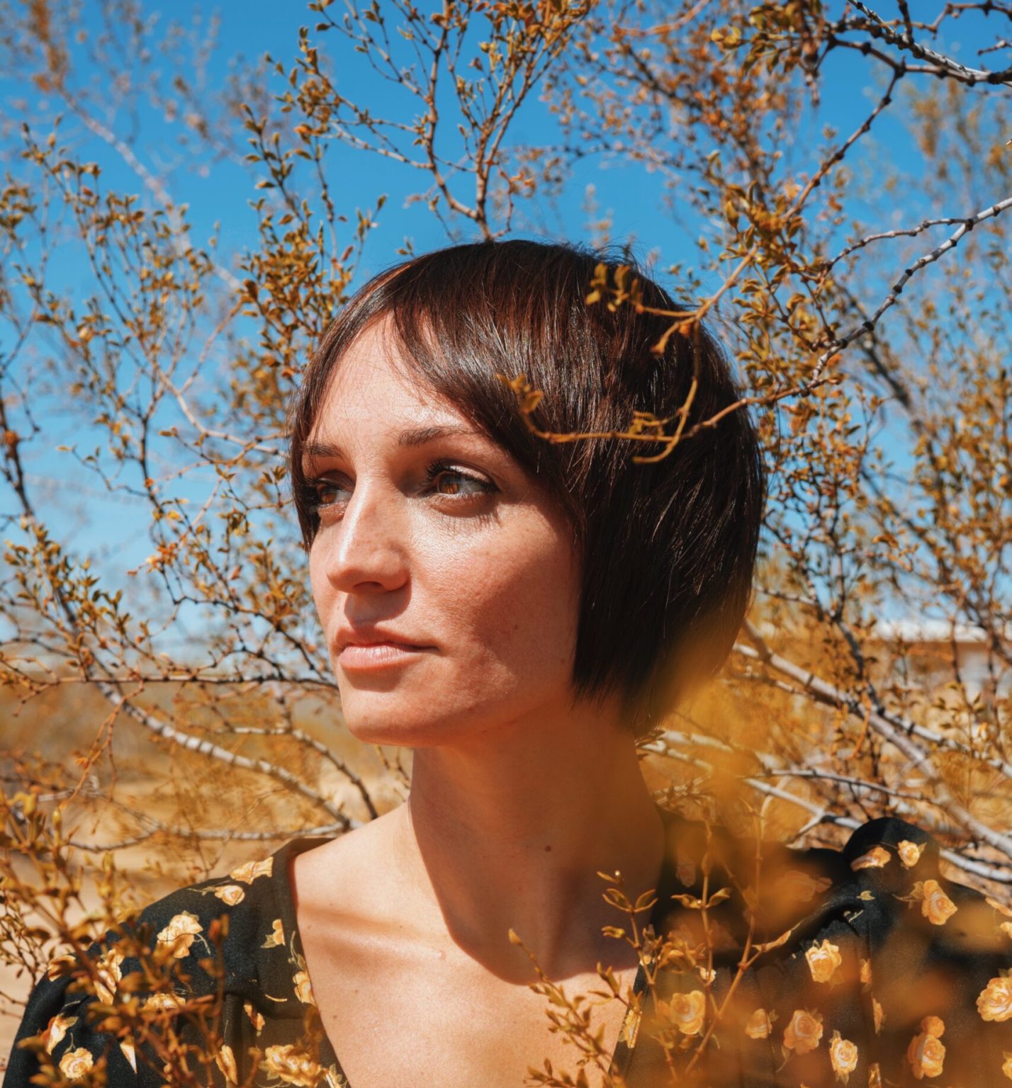 A person with fair skin and dark hair standing in a field of golden grasses.