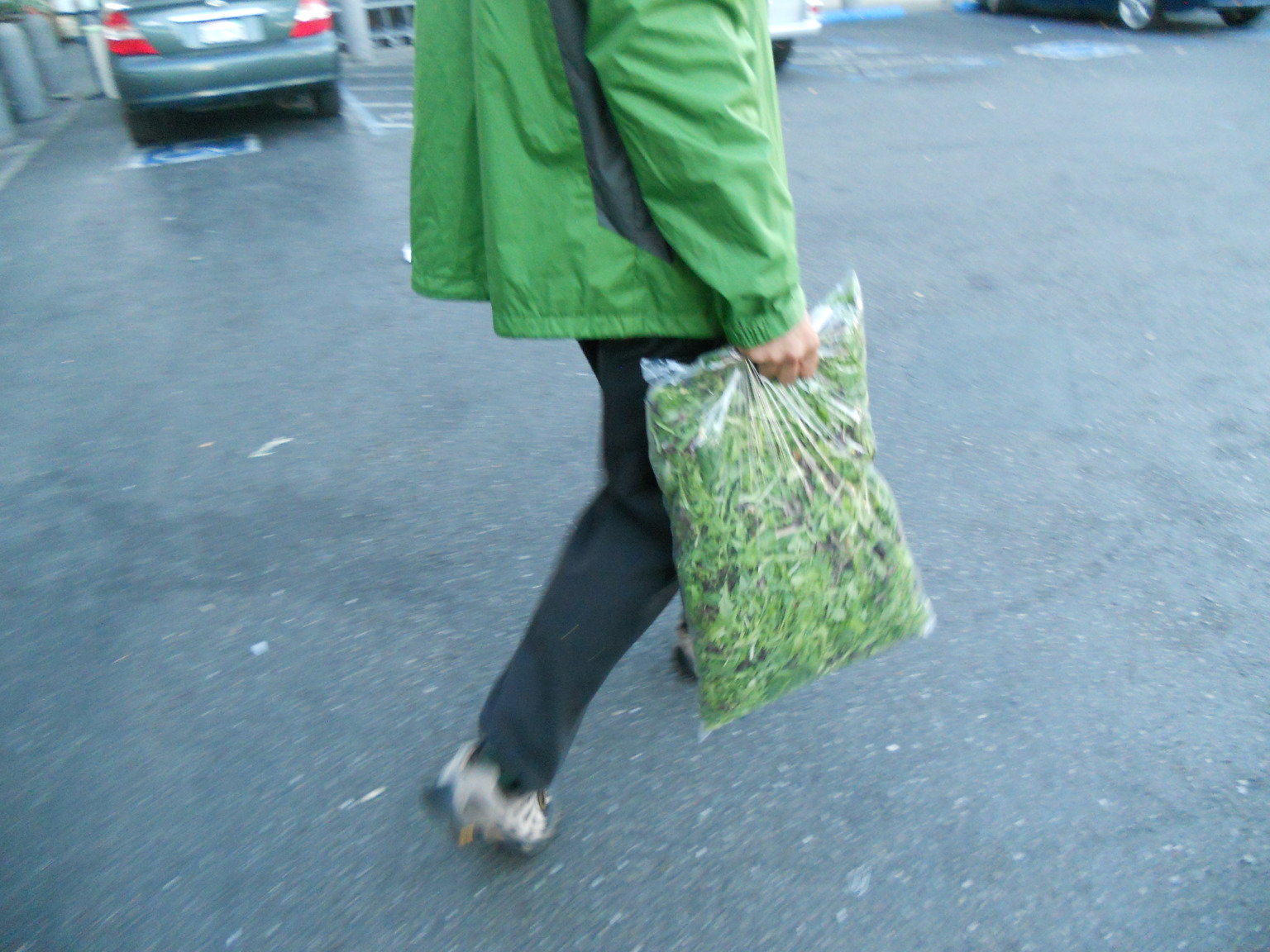 Person in green jacket holding large bag of mixed greens.