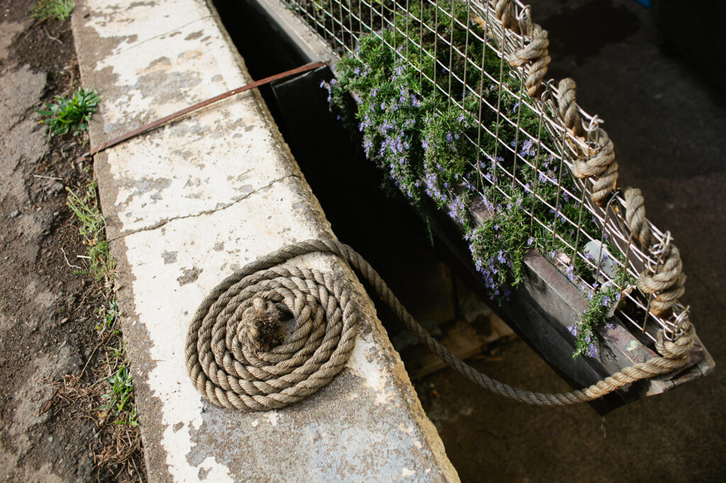 herbs in a planter box, a coiled rope