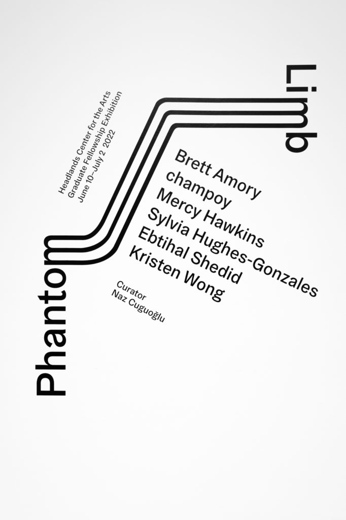 Graphic with text reading Phantom Limb