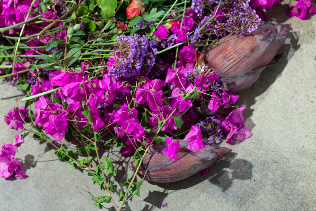 Flowers in bright pink and purple