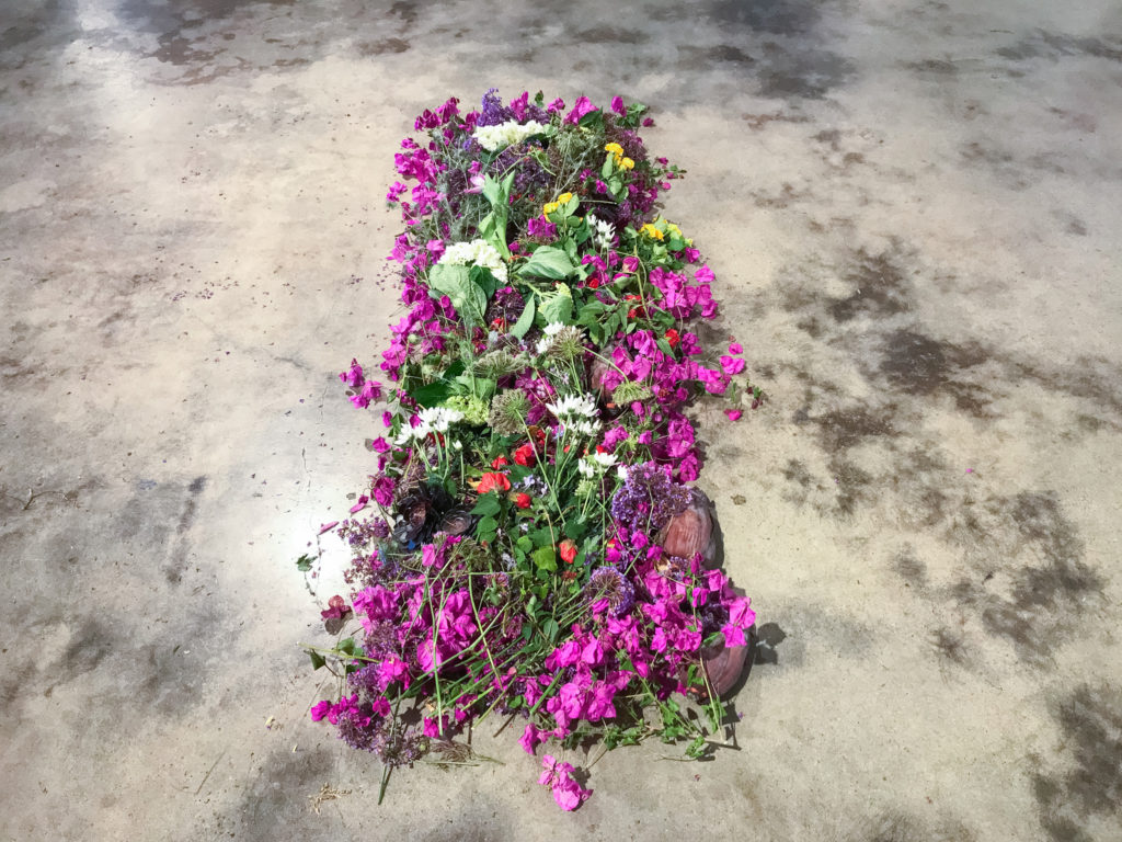 Flowers arranged in a rectangle on the floor.