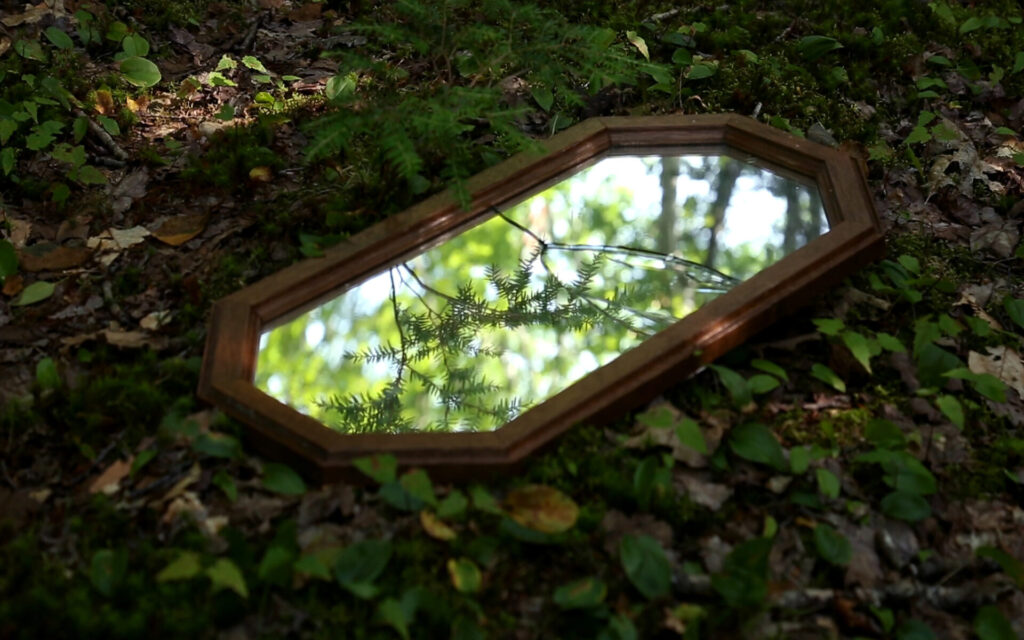 A gilt-frame mirror on the floor of a forest, reflecting trees above