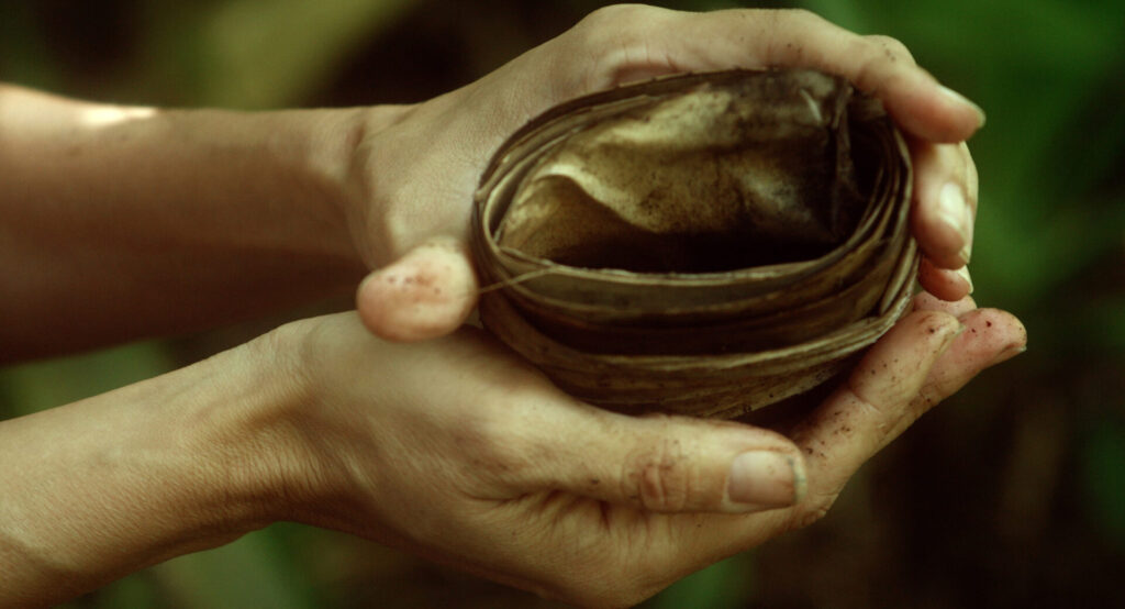 Hands holding a paper nest or basket