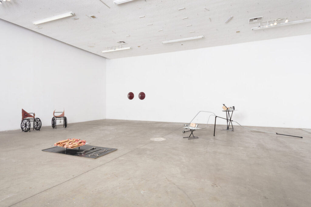 Installation view of several sculptures mounted in a spare, white space.