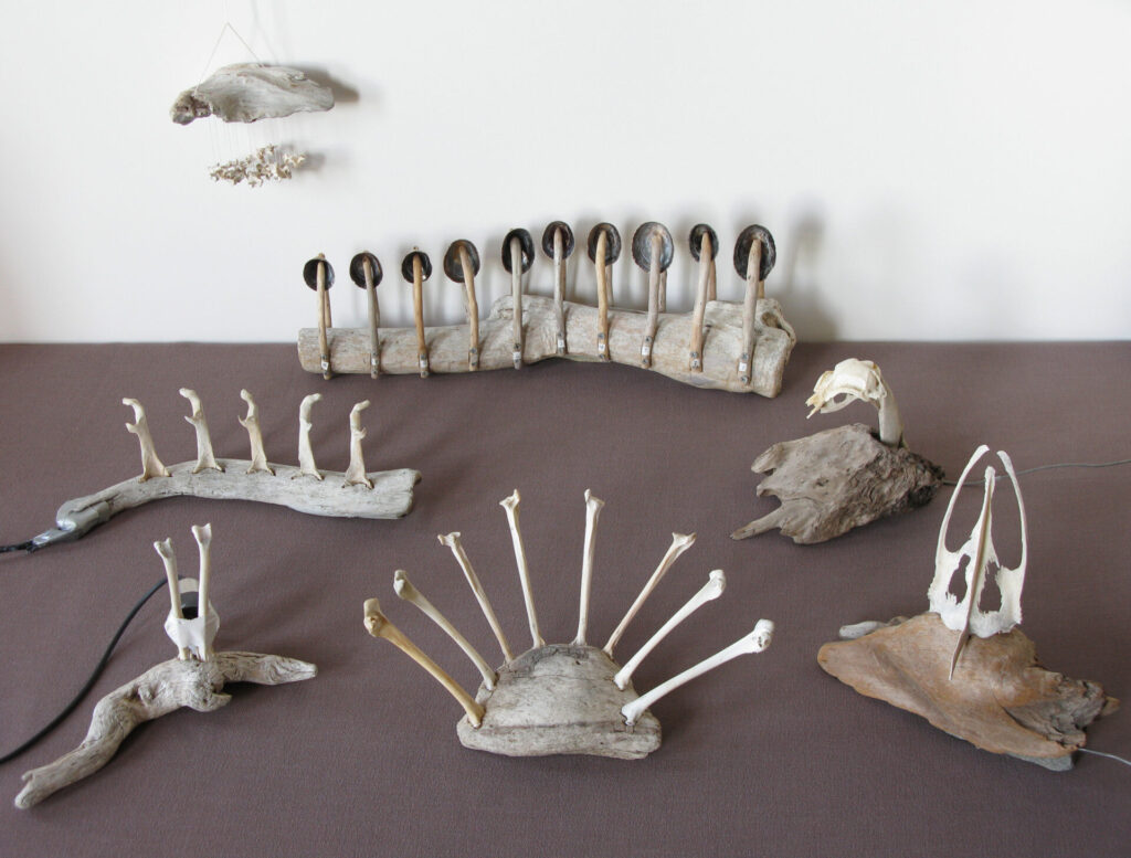 Instrunments made of bones, shells, and driftwood.