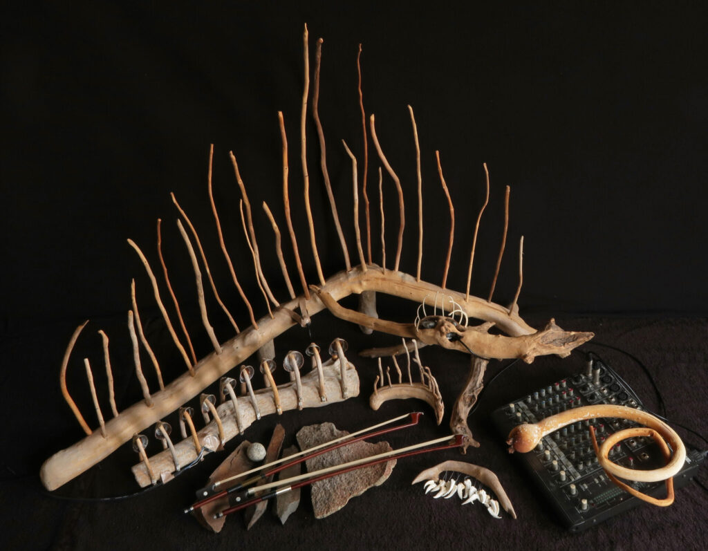 Objects made out of driftwood and shells