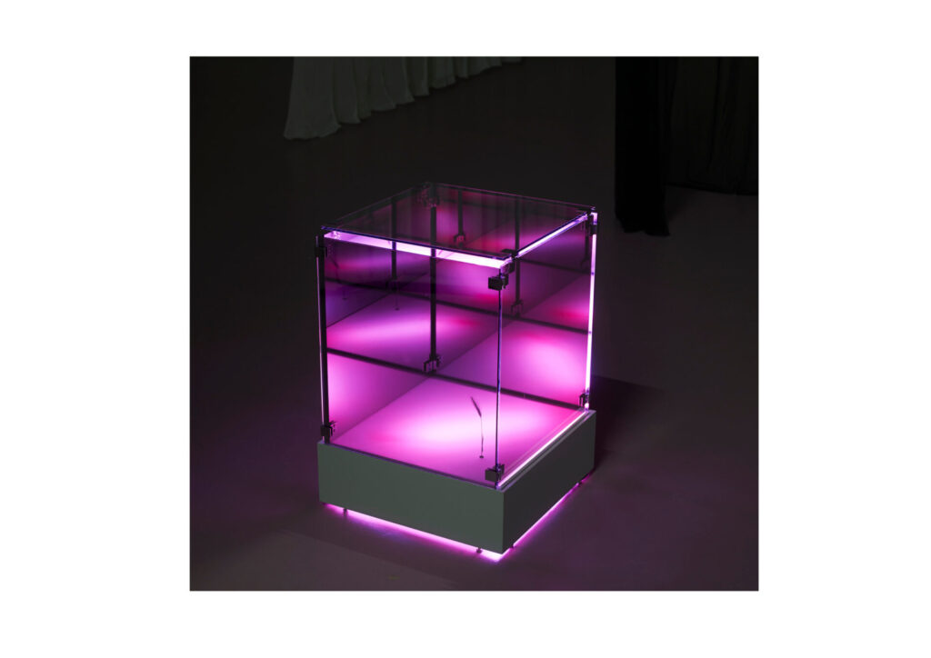 A cube of pink light
