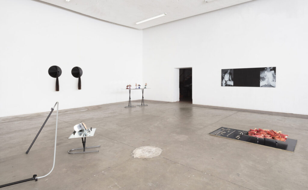 An exhibition view of various works by Xandra Ibarra, in a large white-walled gallery with concrete floors.